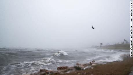 Birds hover over Corpus Christi Bay during Tropical Storm Harold on Tuesday morning.