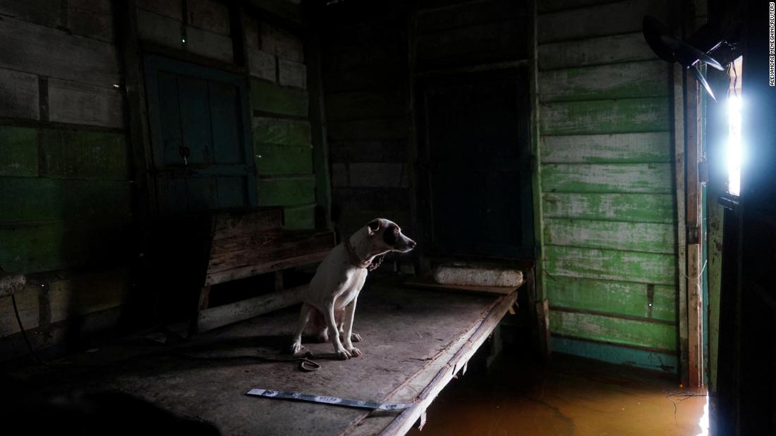 A dog named Samson looks at his owner, not pictured, as he comes back to a flooded home in Playa Majana, Cuba, on August 29.