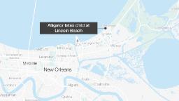 Alligator bites child at closed New Orleans-area beach, officials say