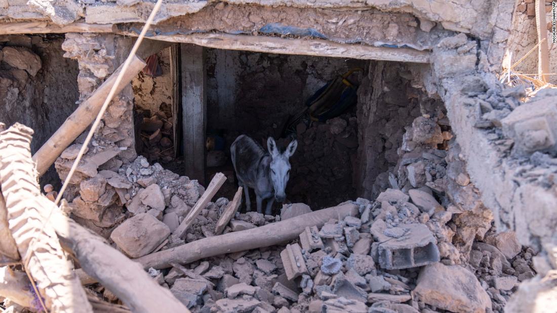 A donkey stands inside a damaged building in Tafeghaghte, Morocco, on September 11.