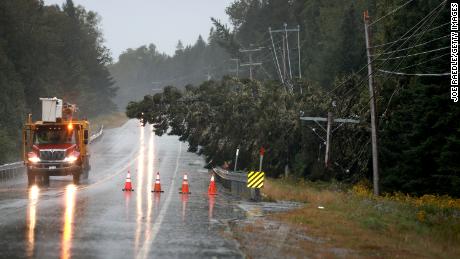 A pine tree lays on power lines after it was knocked over by Post-Tropical Cyclone Lee on September 16, 2023, in Eastport, Maine. 