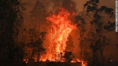 A fire rages in Bobin, 350 km north of Sydney, on November 9, 2019, during Australia&#39;s catastrophic Black Summer fire season. 