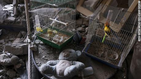 Caged birds that survived overnight Israeli shelling are seen in a damaged apartment in the city center of Khan Yunis, in the southern Gaza Strip on Tuesday.