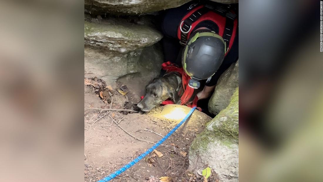 Rescuers descended into a deep cave to rescue a trapped dog — then they found a bear CNN.com – RSS Channel