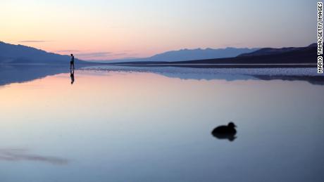 A bird floats near a person at the sprawling temporary lake at Badwater Basin salt flats on October 21, 2023 in Death Valley National Park, California. 