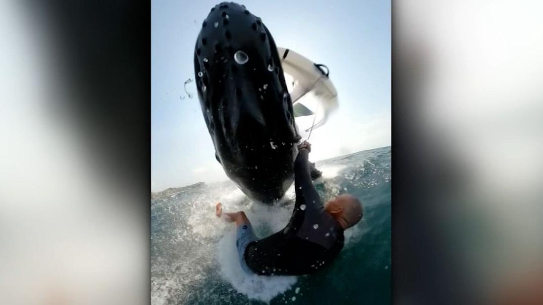 Una Ballena Hunde A Un Deportista De Windsurf En Australia - Cnn Video