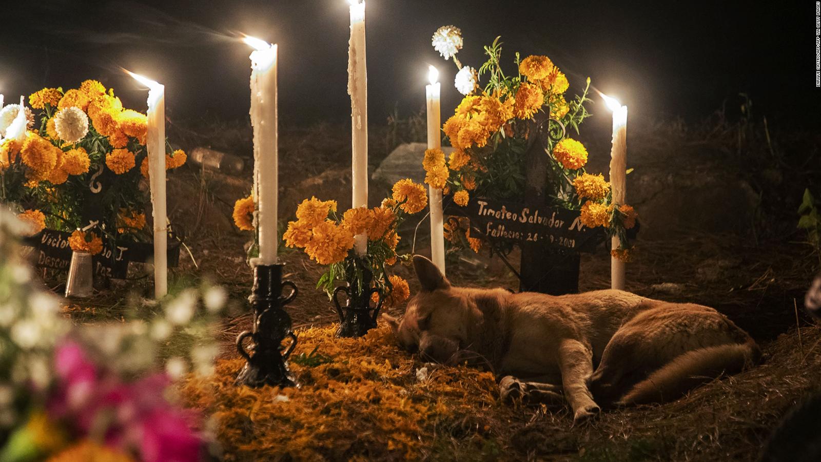 Así se vive la festividad del Día de Muertos en un panteón de la Ciudad ...