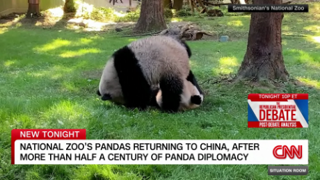 exp TSR.Todd.pandas.returned.to.China_00001201.png