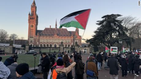 The Hague Palestine Protests