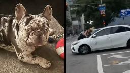 240131095954 dog owner on hood 2 hp video Watch: Viral video shows dog owner clinging to car hood during dognapping