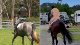 240221122002 mankini horse rider 2 hp video ‘I can never unsee this!’: Olympian temporarily banned after donning mankini