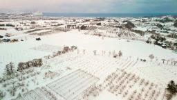 240301143057 takao culinary journey hokkaido yoichi vineyard hp video Making the most of Hokkaido’s winter landscape