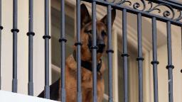240302070408 smr commander behind bars hp video Is Bidens’ dog to blame for his 24 attacks on Secret Service agents?