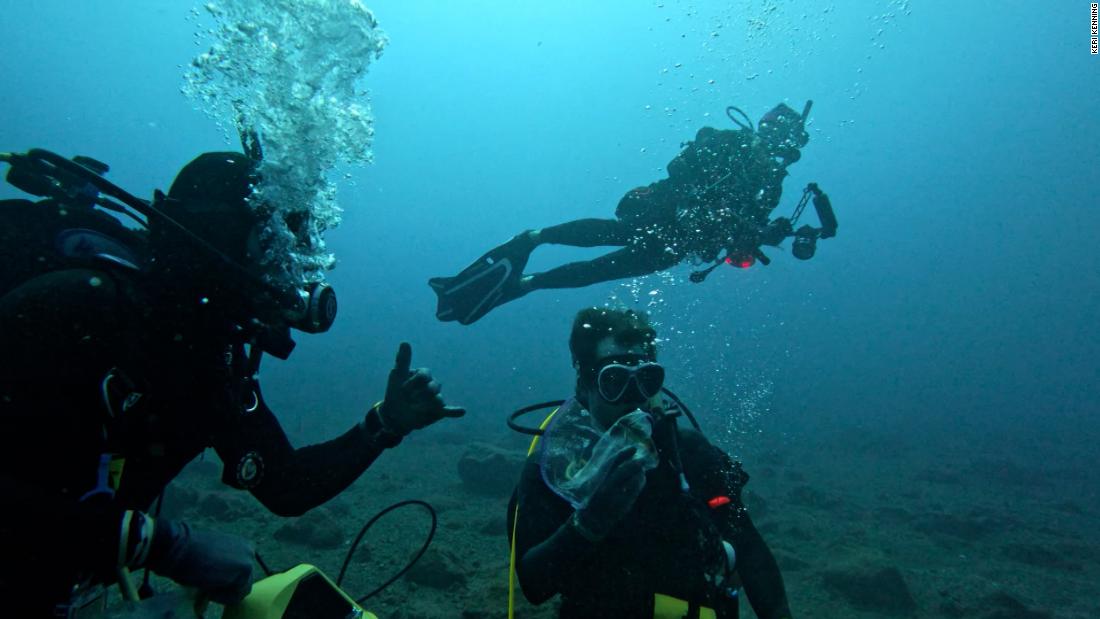 Científicos Descubren Nueva Especie De Pez En Las Islas Remotas Del 