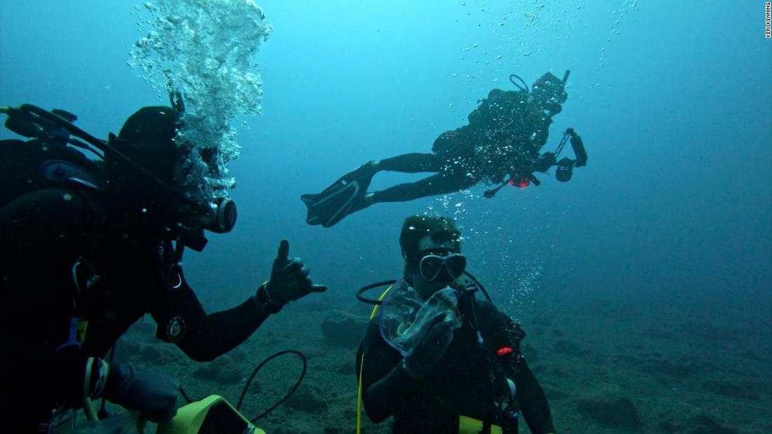 Científicos descubren nueva especie de pez en las islas remotas del ...