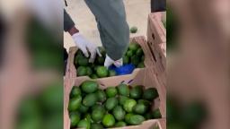 240326210742 colombia avocado drug bust hp video Avocados led authorities to a huge stash of cocaine. Here’s how
