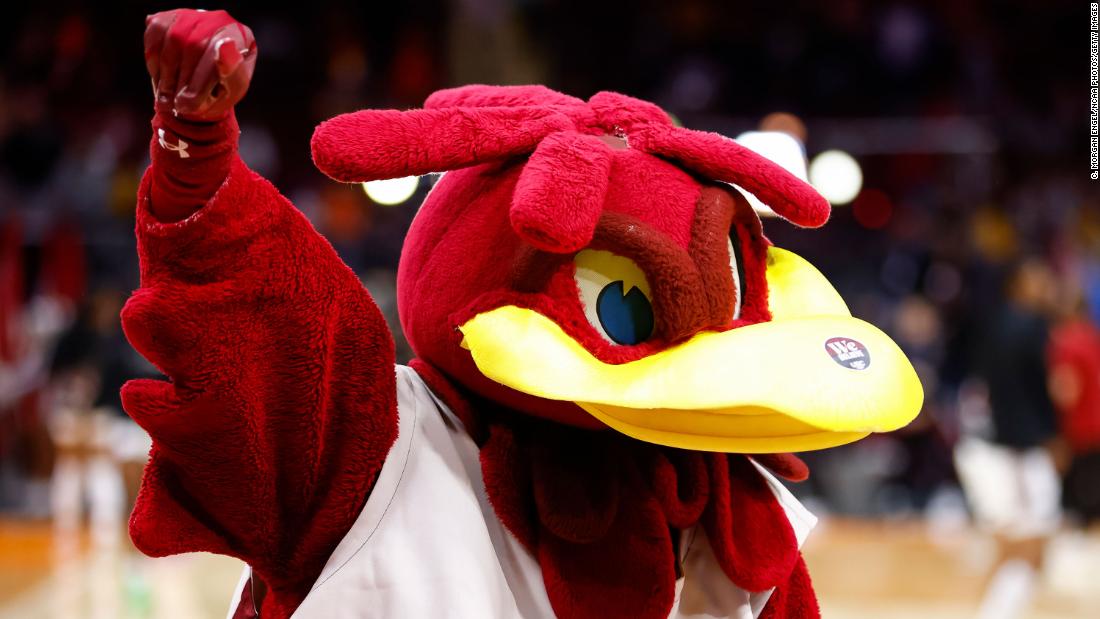 Cocky the South Carolina Gamecocks mascot cheers before the game.