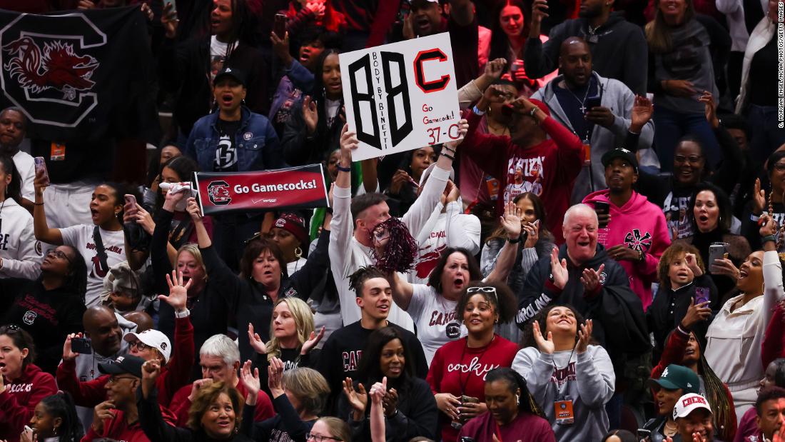 Gamecocks fans cheer during the game.