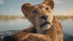 240430084607 mufasa the lion king hp video Hollywood Minute: First look at ‘Mufasa: The Lion King’