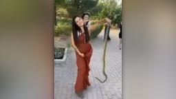 240515101557 wedding snake 3 hp video Bride’s sister springs to action when snake interrupts wedding party